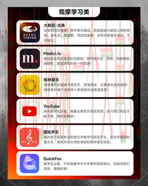 乐动手机APP：畅享极致音乐体验