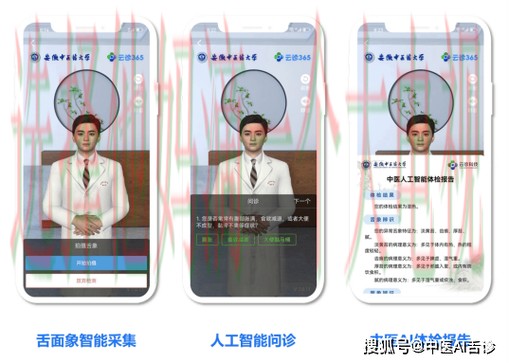 下载与体验：365BET手机APP平台解析